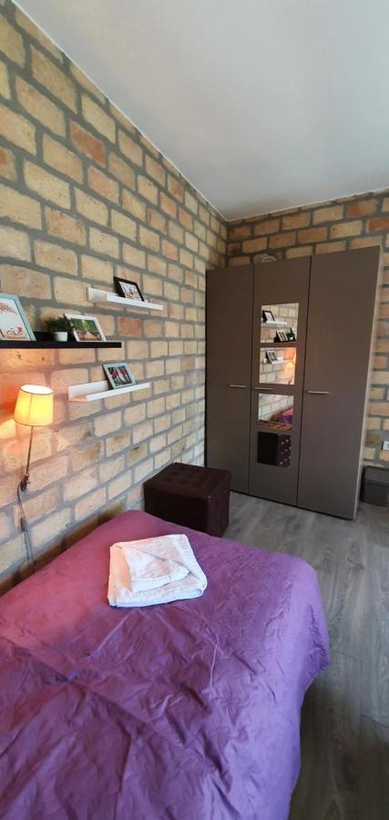 Apartament Bakina Kuca Golubac Zewnętrze zdjęcie