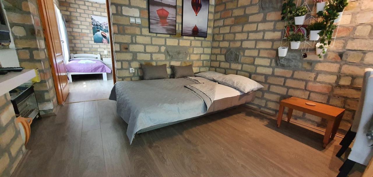 Apartament Bakina Kuca Golubac Zewnętrze zdjęcie